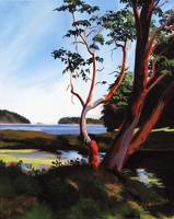Arbutus on Gabriola Farm